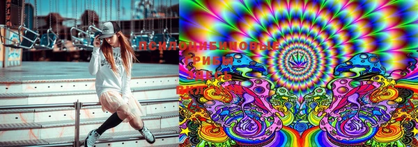 марки lsd Бугульма