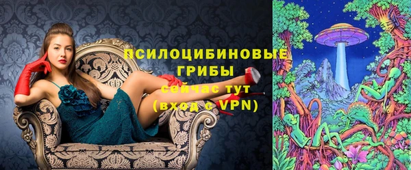 гашик Бронницы
