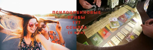 гашик Бронницы