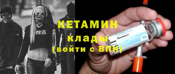 шишки Богородицк