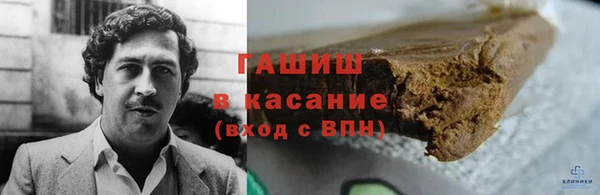 шишки Богородицк