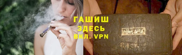 шишки Богородицк