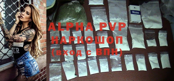 шишки Богородицк