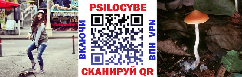 даркнет формула  Заречный  Галлюциногенные грибы Cubensis  что такое наркотик 